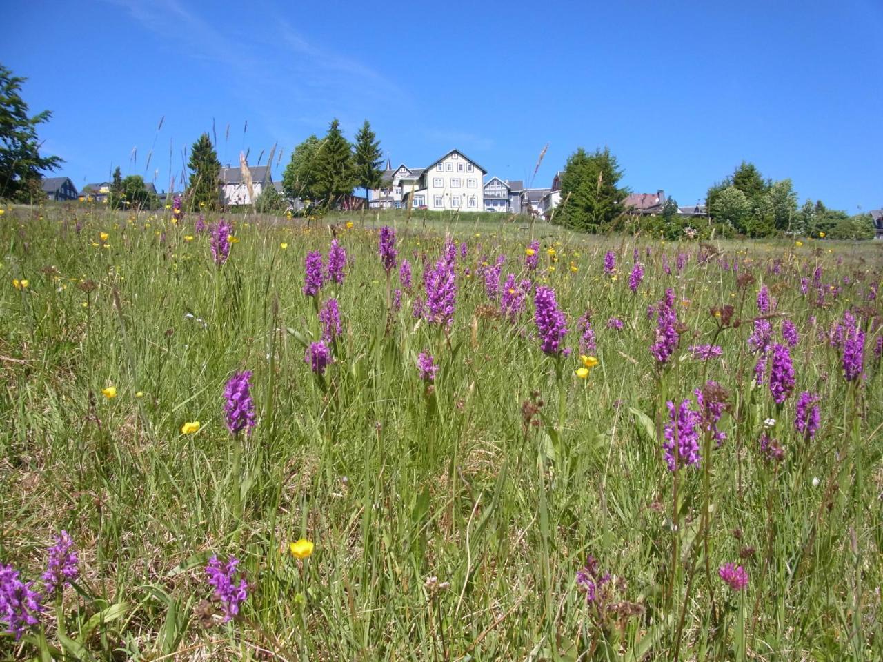 Hotel Schöne Aussicht Masserberg Exterior foto